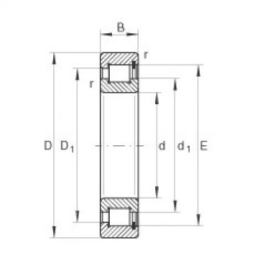 cylindrical bearing nomenclature SL1818/710-E-TB INA