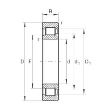 cylindrical bearing nomenclature SL192318-TB INA