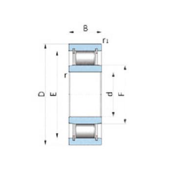 cylindrical bearing nomenclature PL25-7CG38 NSK