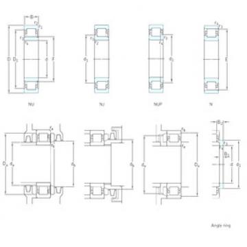 Cylindrical Roller Bearings Distributior NU10/600N2MA SKF