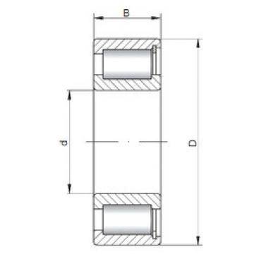 Cylindrical Roller Bearings NCF1852 V ISO
