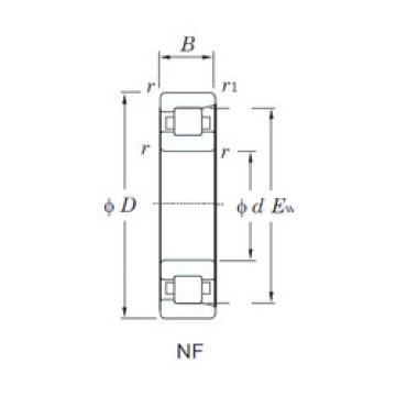 Cylindrical Bearing NF206 KOYO