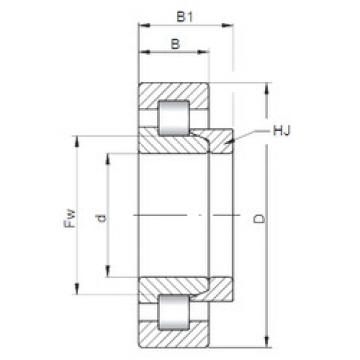Cylindrical Bearing NH1034 ISO
