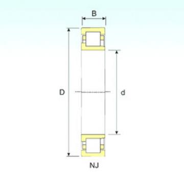 Cylindrical Bearing NJ 409 ISB