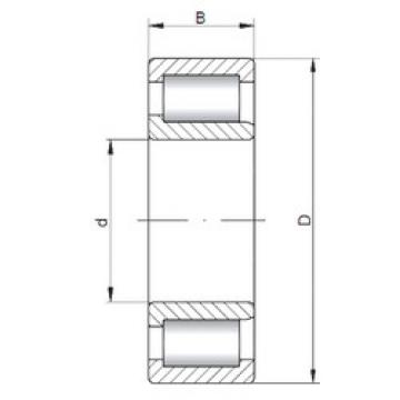 Cylindrical Bearing NJF2309 V ISO