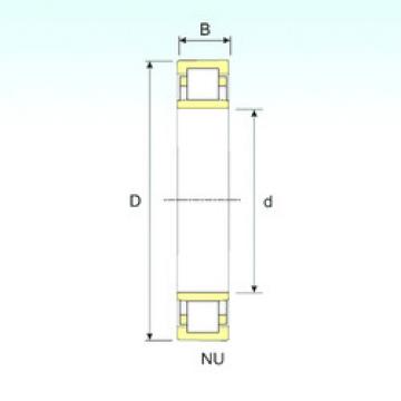 Cylindrical Roller Bearings Distributior NU 1019 ISB