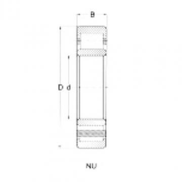Cylindrical Roller Bearings Distributior NU211 CRAFT