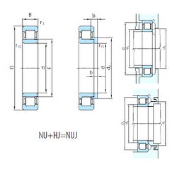 Cylindrical Roller Bearings Distributior NUJ248 PSL