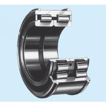 FULL-COMPLEMENT CYLINDRICAL ROLLER BEARINGS JAPAN RS-48/500E4