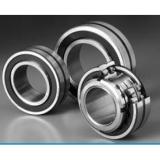 Bearings for special applications NTN R1099V