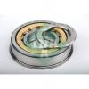 Cylindrical Roller Bearings 722054310 INA #1 small image