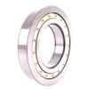 Cylindrical Roller Bearings F 19010 Fersa #1 small image