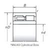 Cylindrical Roller Bearings Distributior NNU4921MB NSK #1 small image