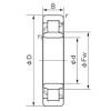 Cylindrical Roller Bearings Distributior NU 1005 NACHI #1 small image