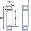 Cylindrical Roller Bearings Distributior NU 2/600 ECMA/HB1 SKF #1 small image