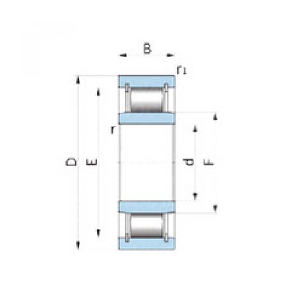 cylindrical bearing nomenclature PL25-7ACG38 NSK #1 image
