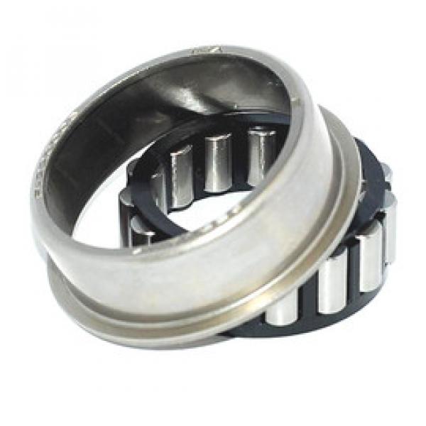 Cylindrical Roller Bearings F-220006 INA #1 image