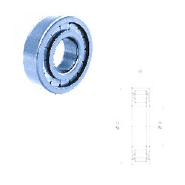 cylindrical bearing nomenclature NUP311FMNR/C3 Fersa #1 image