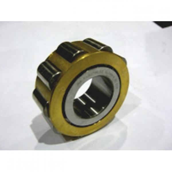 Cylindrical Roller Bearings F-202987.1 INA #1 image