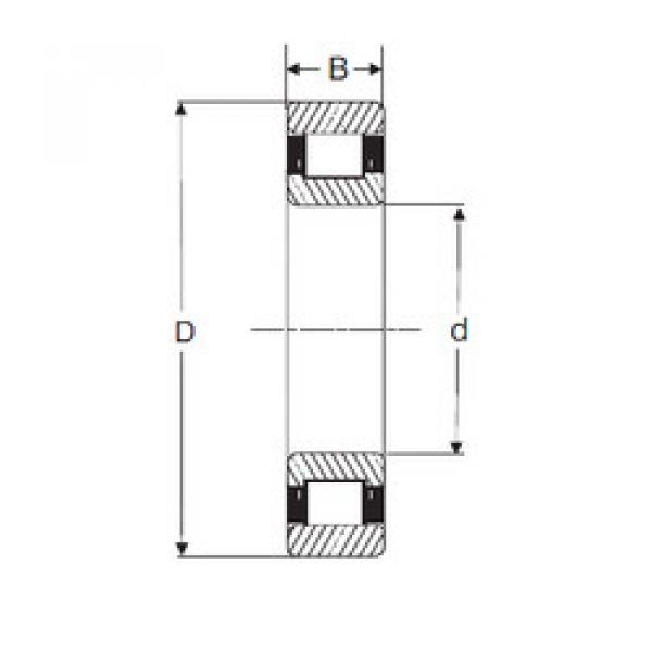 Cylindrical Roller Bearings MRJ 1.1/4 SIGMA #1 image