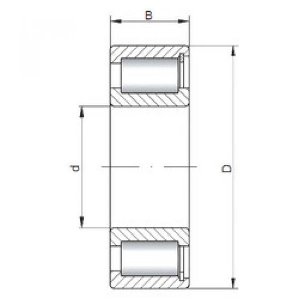 Cylindrical Bearing NCF2922 V ISO #1 image
