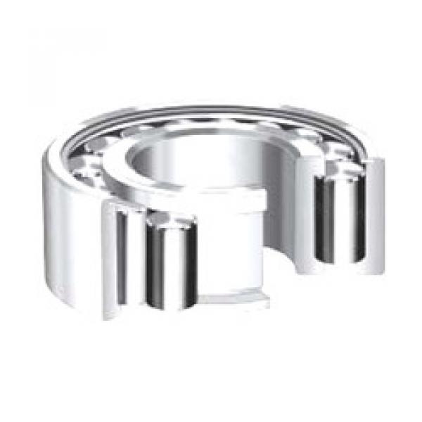 Cylindrical Roller Bearings Distributior NU10/600 Timken #1 image