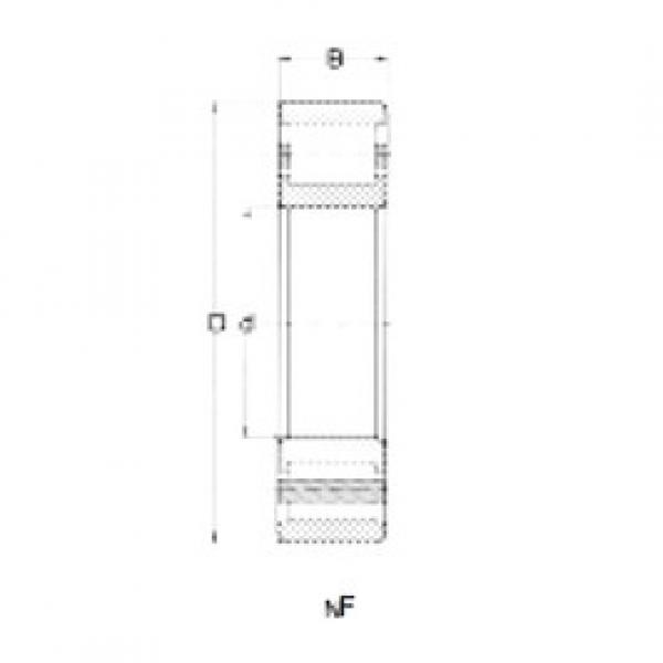 Cylindrical Bearing NF204 CRAFT #1 image