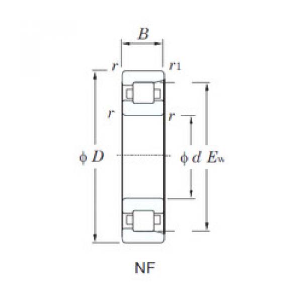 Cylindrical Bearing NF204 KOYO #1 image