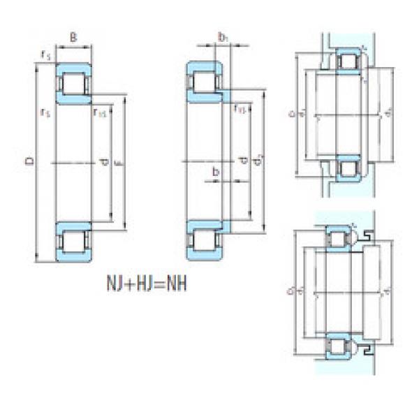 Cylindrical Bearing NH1060 PSL #1 image