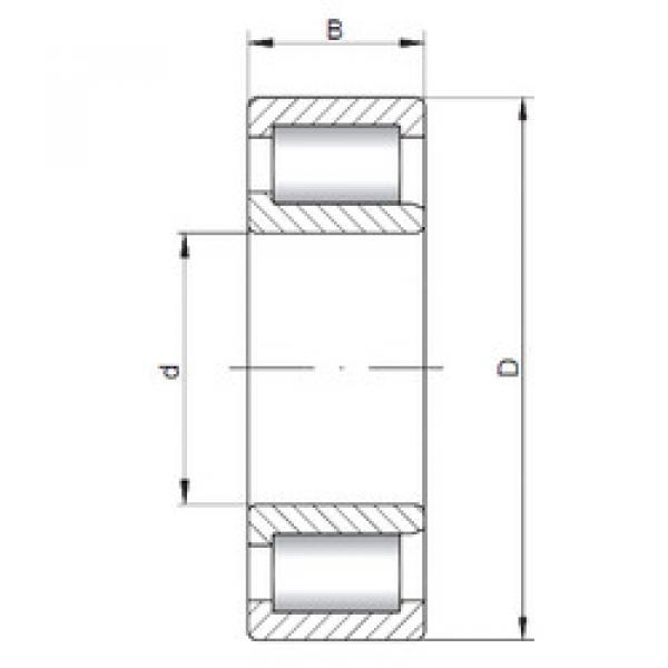 Cylindrical Bearing NJF2305 V ISO #1 image