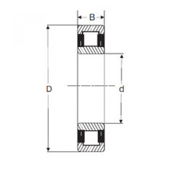 Cylindrical Roller Bearings Distributior NU 204 SIGMA #1 image
