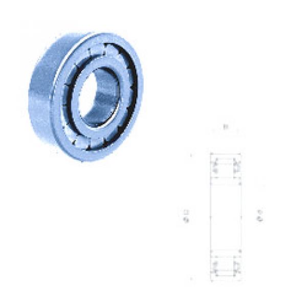 Cylindrical Roller Bearings Distributior NU209FMN/C3 Fersa #1 image