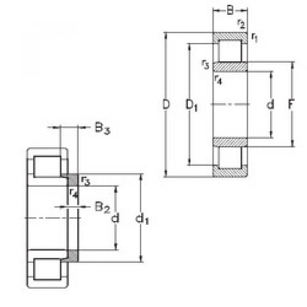 Cylindrical Roller Bearings Distributior NU1056-MA6+HJ1056 NKE #1 image