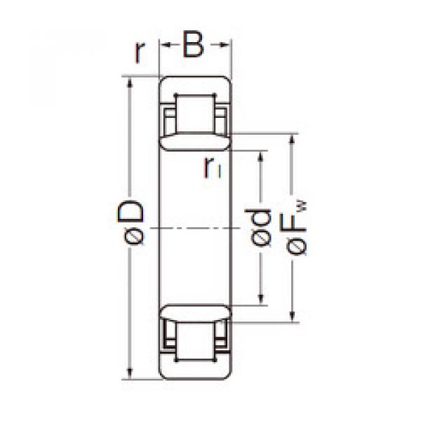 Cylindrical Roller Bearings Distributior NU205EG NACHI #1 image