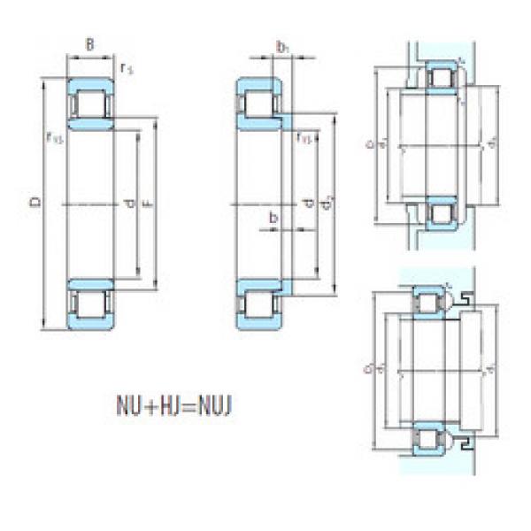 Cylindrical Roller Bearings Distributior NUJ1060 PSL #1 image