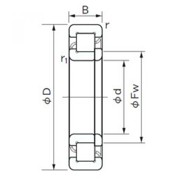 Cylindrical Roller Bearings Distributior NUP 1005 NACHI #1 image