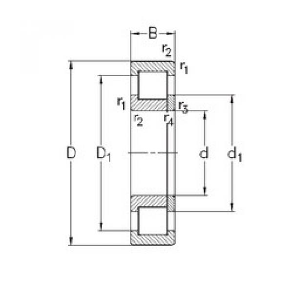 Cylindrical Roller Bearings Distributior NUP221-E-TVP3 NKE #1 image