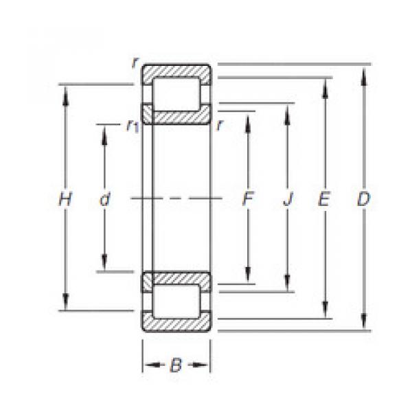 Cylindrical Roller Bearings Distributior NUP205E.TVP Timken #1 image