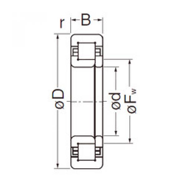 Cylindrical Roller Bearings Distributior NUP205EG NACHI #1 image