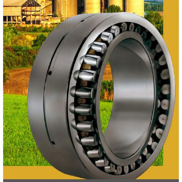 sg TTSV265 Full complement Tapered roller Thrust bearing #1 image
