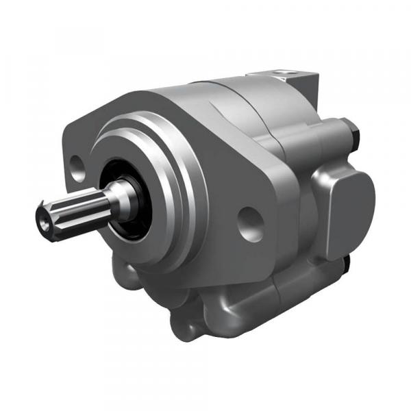 Vickers Hydraulic Gear Pumps 26008     #1 image