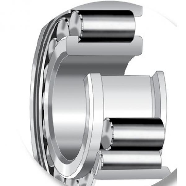 CYLINDRICAL ROLLER BEARINGS one-row STANDARD SERIES 170RN93 #2 image