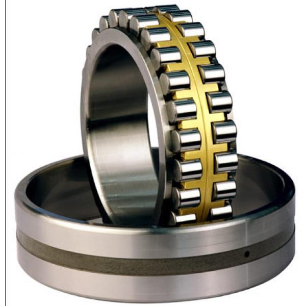 CYLINDRICAL ROLLER BEARINGS TWO Row NNU40/500MAW33 #1 image