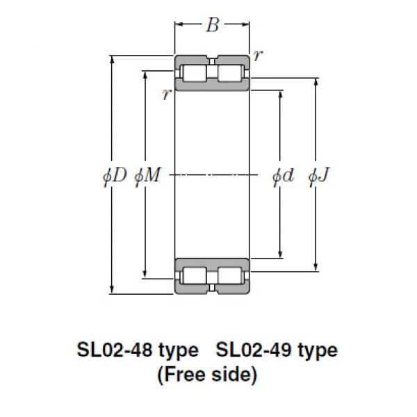 SL Type Cylindrical Roller Bearings NTN SL01-4968 #1 image
